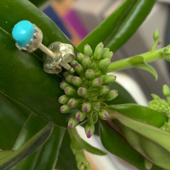 Sterling Silver Turquoise Stud Earrings - Picture 3 of 3